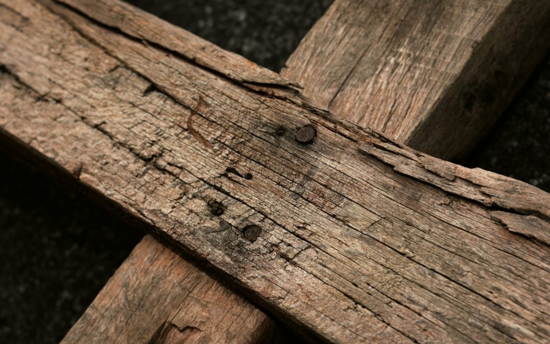 The 2020 Season of Lent